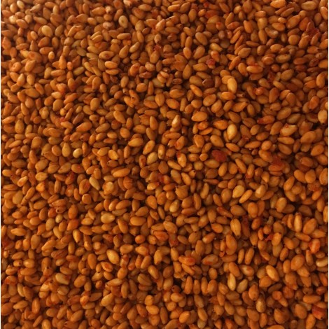 Sésame aux épices Tex-Mex