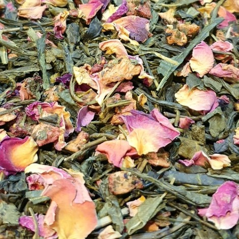 Rose de printemps