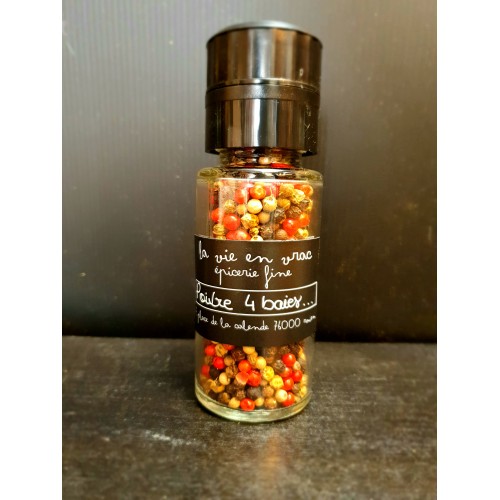 Moulin rechargeable 4 baies