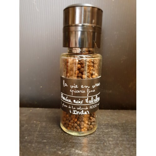 Moulin rechargeable Malabar